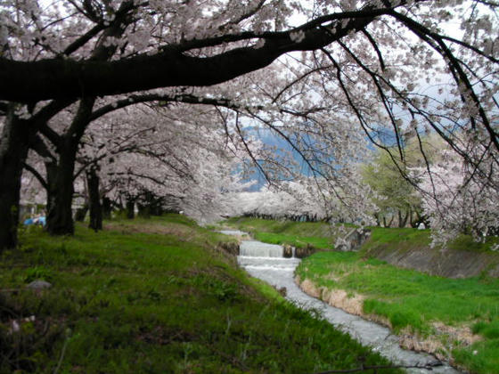 黒沢川