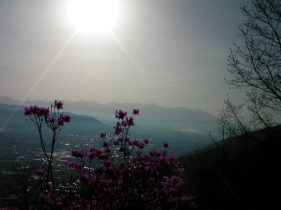 643　朝は逆光になってしまい残念