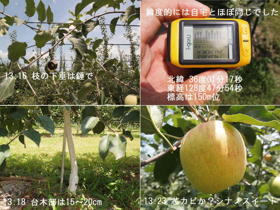 N36.01 E128.48