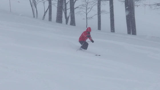 959　圧雪バーンの新雪のイメージ 