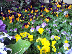 20101029-2.jpg