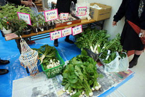 20101030-01.jpg