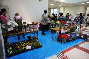 20101030-02.jpg