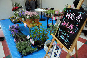 20101031-02.jpg