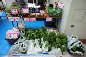 20101031-03.jpg