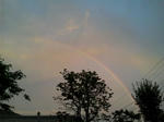 SH3D00870004.jpg