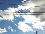 SH3D0297.jpg