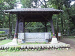 SH3D0125.jpg