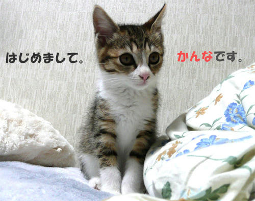 about