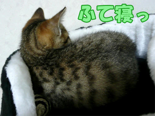 113.jpg