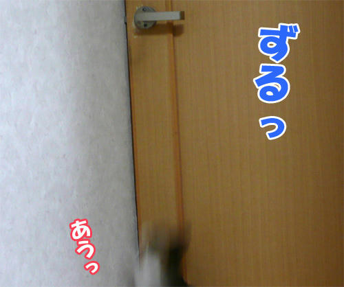 124.jpg