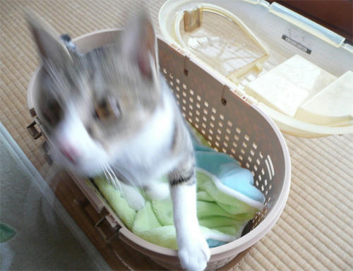 200.jpg