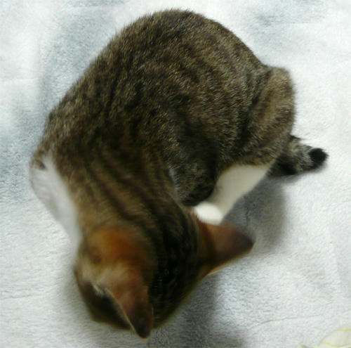 210.jpg