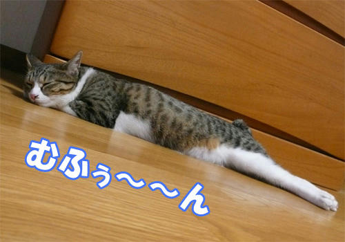 409.jpg