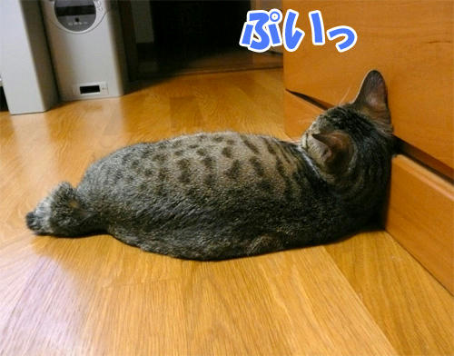 484.jpg