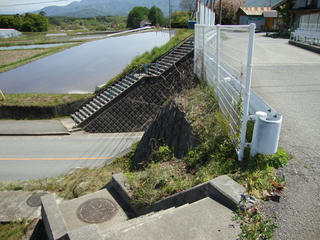 06.JPG