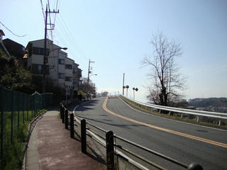 DSC00145.JPG