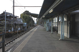 20110123192.jpg