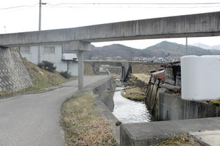 20120408b.jpg