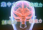 1b3664fd.JPG