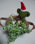 DSC00218.JPG