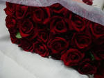 DSC00229.JPG