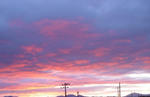 DSC00237.JPG