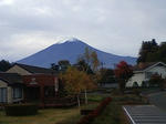 TS3G0695.JPG