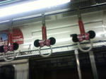 TS3G0837.JPG