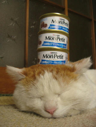 47f57e80-s.jpg