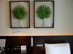 SANY0008.JPG