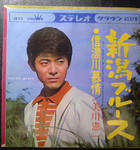 mikawa1.jpg