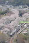 20080406-02.jpg
