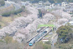 20080406-03.jpg
