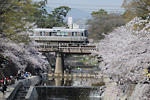 20080406-06.jpg