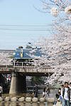 20080406-08.jpg
