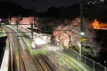 20080406-12.jpg