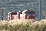 20081118-03.JPG