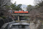 20090329-01.jpg