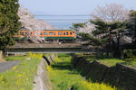 20090407-02.jpg