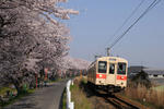 20090415-04.jpg
