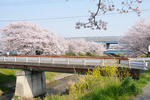 20090415-06.jpg