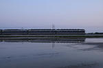 20090429-02.JPG