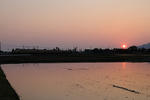 20090429-04.JPG