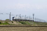 20090429-05.JPG