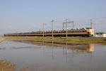20090429-07.JPG