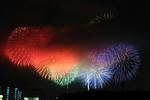 20090817-20.jpg