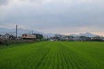 20090828-01.jpg