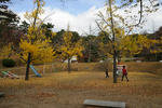 20091117-08.jpg
