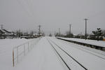 20100119-01.jpg